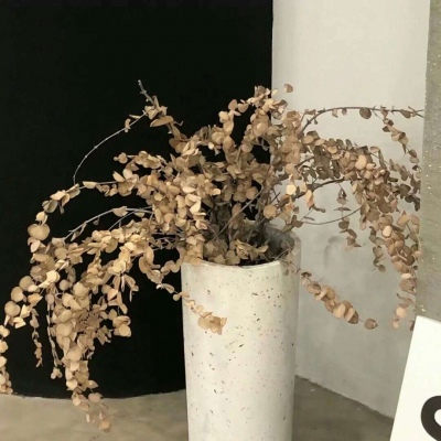 Furry插画线稿分享福瑞群